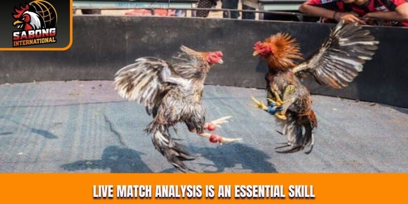 Live match analysis is an essential skill