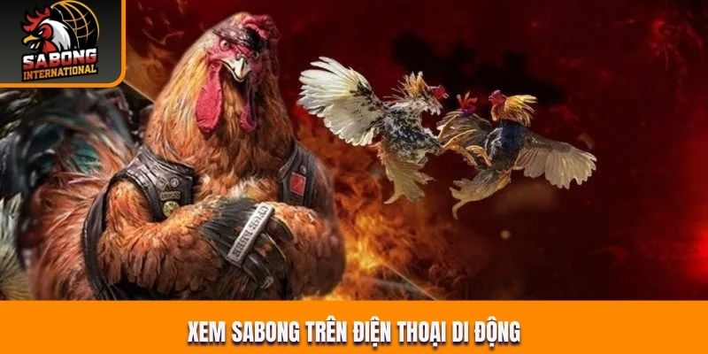 Mobile Sabong streaming — anytime, anywhere